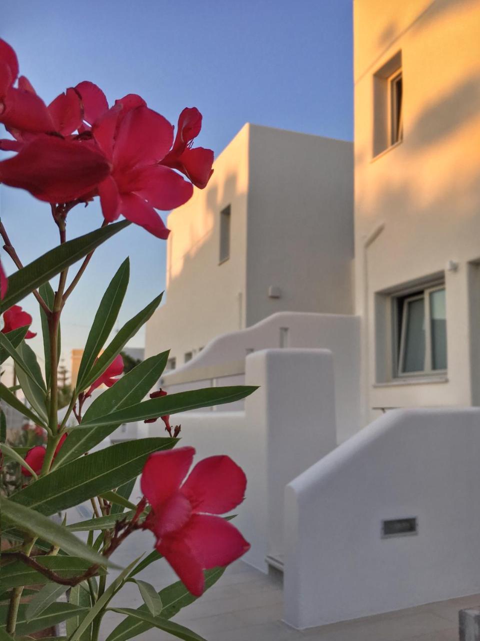 Quartano Luxury Cycladic Residence, Adults Only Náousa Exterior foto